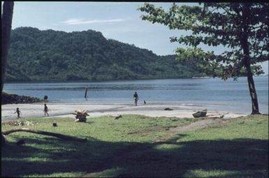 The beautiful shore line (Kieta?) (1) : Bougainville Island, Papua New Guinea, March 1971 / Terence and Margaret Spencer