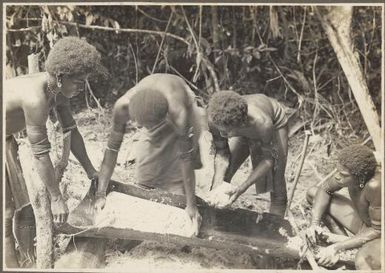 [Papuans making sago, Papua New Guinea, 4]