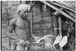 Maenaa'adi with new taro plant, probably gathered wild