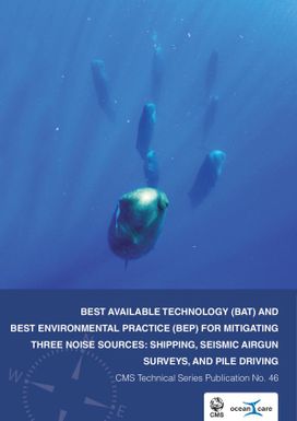 Best Available Technology (BAT) and Best Environmental Practice (BEP) for Mitigating Three Noise Sources: Shipping, Seismic Airgun Surveys and pile Driving