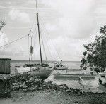 Boats moored to an island