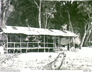 THE SOLOMON ISLANDS, 1945-10-13. MESS HUT AT THE INTERNMENT CAMP FOR JAPANESE NAVAL PERSONNEL ON MASAMASA ISLAND. (RNZAF OFFICIAL PHOTOGRAPH.)
