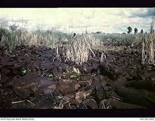 DOBODURA, PAPUA. 1951. AMERICAN MUSTARD GAS BOMBS LYING AT THE END OF THE AIRSTRIP AT EMBI. THE BOMBS HAVE BEEN IGNITED, POSSIBLY TO ASSIST SCAVENGERS TO SALVAGE SCRAP METAL. (DONOR M. KEARY)