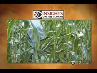 GMOs | INSIGHTS ON PBS HAWAIʻI