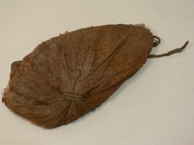 Süveg
