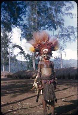 Decorated girls (3) : The Tengerap Clan Singsing, Wahgi Valley, Papua New Guinea, 1954 / Terence and Margaret Spencer