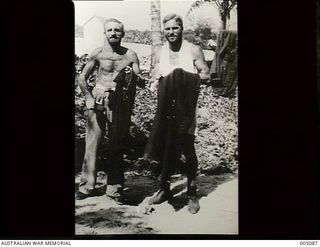 Survivors, passengers and crew from the British vessels Rangitane, Komata, Triaster, Triadic, Triona and Holmwood and the Norwegian vessel Vinni, were rescued by the Australian steamer Nellore from ..