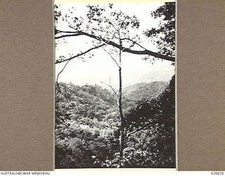 PAPUA, NEW GUINEA. 1942-10. VIEW FROM DENSE JUNGLE COUNTRY THROUGH TREES ON RIDGE AT NAURO