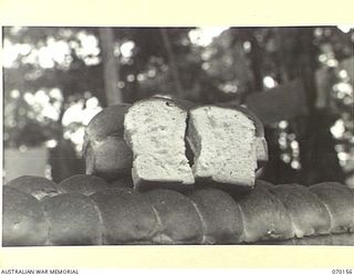 DUMPU, NEW GUINEA. 1944-02-05. THIS PICTURE INDICATES THE FINE TEXTURE OF ROLLS PRODUCED BY MEN OF THE 24TH INFANTRY BATTALION, AT THE 15TH INFANTRY BRIGADE BAKERY. THE RECIPE CONTAINS 6% WHEAT ..