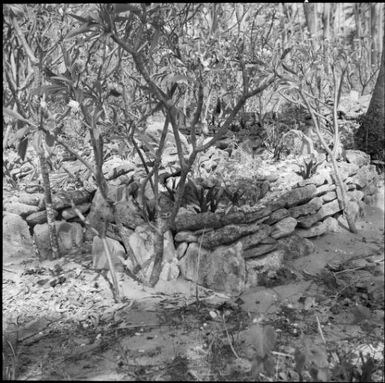 Burial mound made out of stones, Mana Island, Fiji, November 1966 / Michael Terry