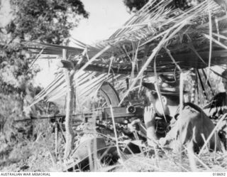 Yamil No. 1, Maprik Area, New Guinea. 26 June 1945. Private J. W. Collett of St Kilda, Vic, firing on Yamil No. 2 with a .303 bren light machine gun. He is giving covering fire from a dugout for a ..