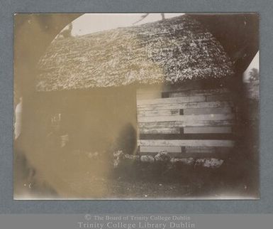 Photograph of the exterior of a thatched dwelling in Apia, Samoa