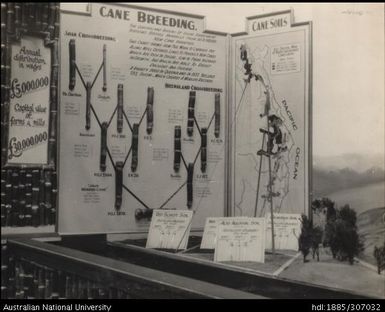 Sugar Industry Exhibit, Melbourne