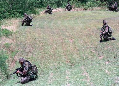 US Army (USA) Soldiers assigned to A/Company, 1ST Battalion, 17th Infantry Division armed with 5.56mm M16A2 assault rifles take up defensive position at Orote Point, Guam, during Exercise TANDEM THRUST '99
