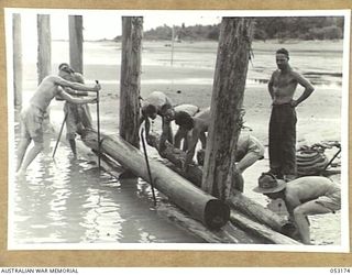 MIRAVASI (MINVASI?), NEW GUINEA. 1943-06-29. ENGINEERS OF THE 2/4TH AUSTRALIAN FIELD SQUADRON, ROYAL AUSTRALIAN ENGINEERS, FITTING CROSS PIECES INTO POSITION ON GROYNE PILES. WX16984 LANCE-CORPORAL ..