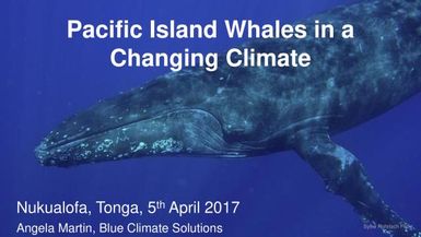 Pacific Island Whales in a Changing Climate: presentation