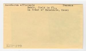 [Saccharum officinarum in Hawaii, envelope IE02-148]