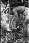 Larikeni husking the coconut