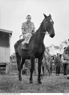 HERBERTON, QLD. 1943-06-12. THE HORSE "LITTLE MERV" APPEARED A LITTLE LEAN AND TIRED. HE WAS RIDDEN BY NX91792, PRIVATE R.J. MINNS AT THE 6TH AUSTRALIAN DIVISION RACE MEETING