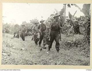 JACQUINOT BAY, NEW BRITAIN. 1944-11-04. MEMBERS OF A SIGNAL PLATOON OF THE 14/32ND INFANTRY BATTALION LAYING A CABLE ALONG THE TRACK NEAR THE MALMAL MISSION. IDENTIFIED PERSONNEL ARE: VX120645 ..