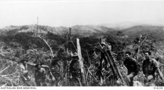 Finschhafen Area, New Guinea. 1943-10. The Sattelberg track beyond Coconut Ridge showing the battle area after the fall of Finschhafen. At the right is Lansemak Bay