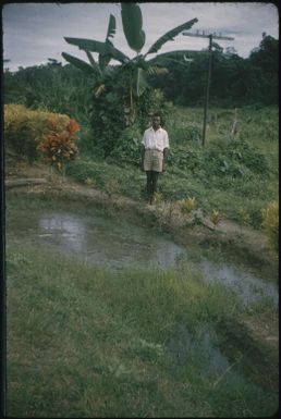 Wewak-Maprik road (4) : Wewak-Maprik, Papua New Guinea,1959 / Terence and Margaret Spencer