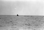 Canoe fleet on the lagoon. The outer islets can be seen in the background