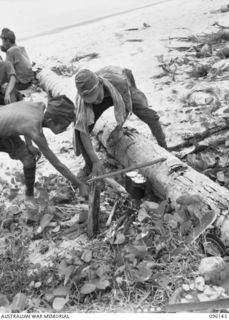 MUSCHU ISLAND, NEW GUINEA. 1945-09-11. JAPANESE SOLDIERS COOKING THEIR RATIONS OVER A FIRE. THE ISLAND IS NOW OCCUPIED BY HEADQUARTERS 6 DIVISION AND THE JAPANESE ARE ENGAGED IN BUILDING HOSPITAL ..