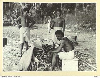 TSIMBA AREA, BOUGAINVILLE ISLAND. 1945-02-17. NEW GUINEA ADMINISTRATIVE UNIT NATIVES COOKING FISH FOR THEIR DINNER IN THEIR CAMP NEAR PUTO BEACH