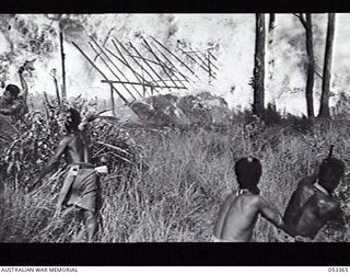 BISIATABU, NEW GUINEA. 1943-07-01. 1ST PAPUAN INFANTRY BATTALION TRAINING EXERCISE, IN WHICH A GRASS HUT CONTAINING AN IMAGINARY ENEMY IS SET ON FIRE BY MEANS OF A BURNING ARROW SHOT FROM A BOW. ..