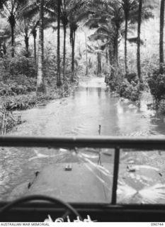 MILNE BAY, NEW GUINEA. 1942-09-14. THE ROAD WEST OF GILI GILI PLANTATION VIEWED FROM AN ARMY VEHICLE