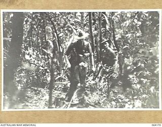 CANNING'S SADDLE, NEW GUINEA. 1944-01-21. WALKING WOUNDED OF THE 2/12TH INFANTRY BATTALION MAKING THEIR WAY BACK TO THE ADVANCED REGIMENTAL AID POST FROM THE FIGHTING ON MOUNT PROTHERO