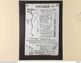 LAE AREA, NEW GUINEA, 1945-08-03. A "PIDGIN" ENGLISH CHART USED FOR THE INSTRUCTION OF NATIVE REGIMENTAL AID POST ORDERLIES. THE PHOTOGRAPH WAS MADE AT THE REQUEST OF HEADQUARTERS AUSTRALIAN NEW ..