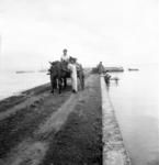 Falehau wharf. 'Ailini's daughters with saaliote; preparing to take coconut seedlings by water to Ngatu's ('Ailine's eldest son) 'api. (Younger son, Vātau, standing on wharf by canoe.)