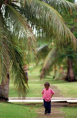 A Kurdish boy wanders through the foliage at Andersen Air Force Base, Guam, while living at the base as part of Operation PACIFIC HAVEN. The operation, a joint humanitarian effort conducted by the US military, entails the evacuation of over 2,100 Kurds from northern Iraq to avoid retaliation from Iraq for working with the US government and international humanitarian agencies. The Kurds will be housed at Andersen AFB, while they go through the immigration process for residence in the United States