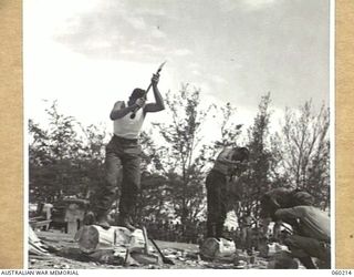 ELA BEACH, NEW GUINEA. 1943-11-13. A COMPETITOR IN THE FINAL OF THE 12 INCH WOOD CHOP, AT THE COMBINED SPORTS MEETING