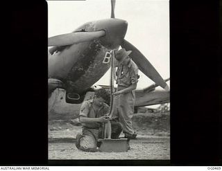 KIRIWINA, TROBRIAND ISLANDS, PAPUA. 1944-01-11. THIS MEANS A HEAP OF TROUBLE FOR ANY JAPANESE AIRCRAFT UNLUCKY ENOUGH TO MEET THIS SPITFIRE AIRCRAFT ON PATROL. LEADING AIRCRAFTMAN R. WILLMOTT OF ..