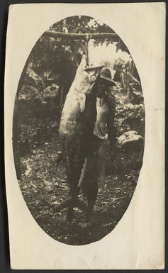 Tunny caught at Futuna, Vanuatu