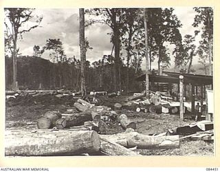 LAE, NEW GUINEA. 1944-12-21. LOGS AT UNTHANK MILL PREPARED FOR CUTTING BY 2/3 FORESTRY COY MEMBERS