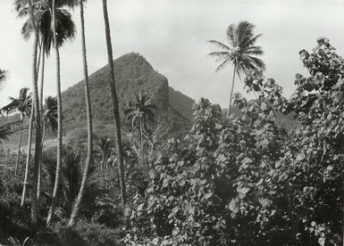 Pacific Islands - Cook Islands - Rarotonga - Scenics