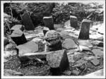 Site ScMO-124/T, with ti'i OT-7 in position on shrine beside marae, shrine has six uprights and backrest