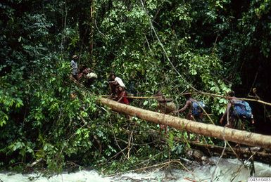 ["fotografi, photograph"]