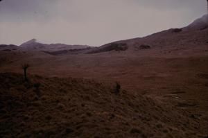 [Landscape of an alpine grassland at Salawaket Range in Papua New Guinea]