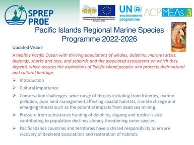 Pacific Islands Regional Marine species programme 2022-2026 - Dugong action plan outline