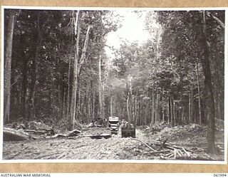 DREGER HARBOUR, NEW GUINEA. 1943-12-03. A PORTION OF THE NEW ROAD BETWEEN LANGEMAK BAY AND DREGER HARBOUR WHICH ENGINEERS OF THE 808TH UNITED STATES AVIATION ENGINEER BATTALION ARE CUTTING THROUGH ..