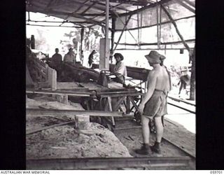 DONADABU, NEW GUINEA. 1943-11-09. VX140513 SAPPER A. A. ATWELL, SAWYER, OPERATING THE BREAST BENCH AT THE EILOGO SAWMILL OPERATED BY THE 9TH AUSTRALIAN WORKSHOPS AND PARKS COMPANY, ROYAL AUSTRALIAN ..