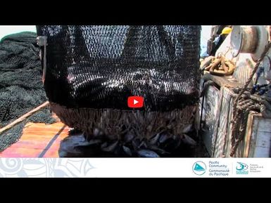 Developing Harvest Strategies for Pacific Tuna Fisheries, episode 4: Pimple Tour