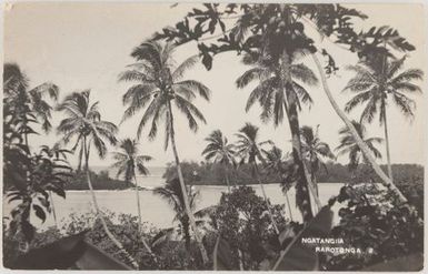 Ngatangiia, Rarotonga 2
