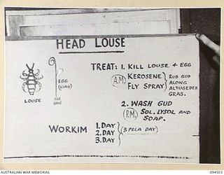 LAE AREA, NEW GUINEA, 1945-08-03. A "PIDGIN" ENGLISH CHART USED FOR THE INSTRUCTION OF NATIVE REGIMENTAL AID POST ORDERLIES. THE PHOTOGRAPH WAS MADE AT THE REQUEST OF HEADQUARTERS AUSTRALIAN NEW ..