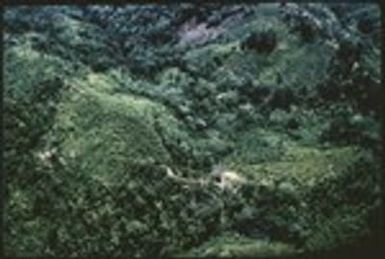 Wahgi-Sepik Divide, aerial view of houses and gardens on north slope